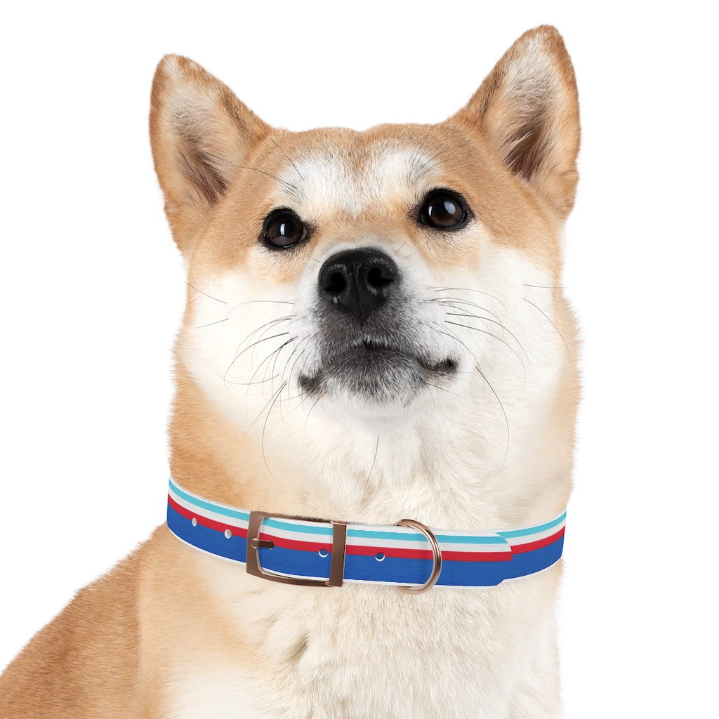"Nautical Colors" Pet Collar